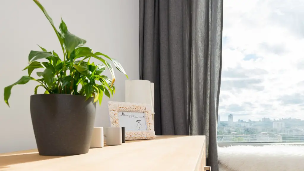 Where buy curtains?