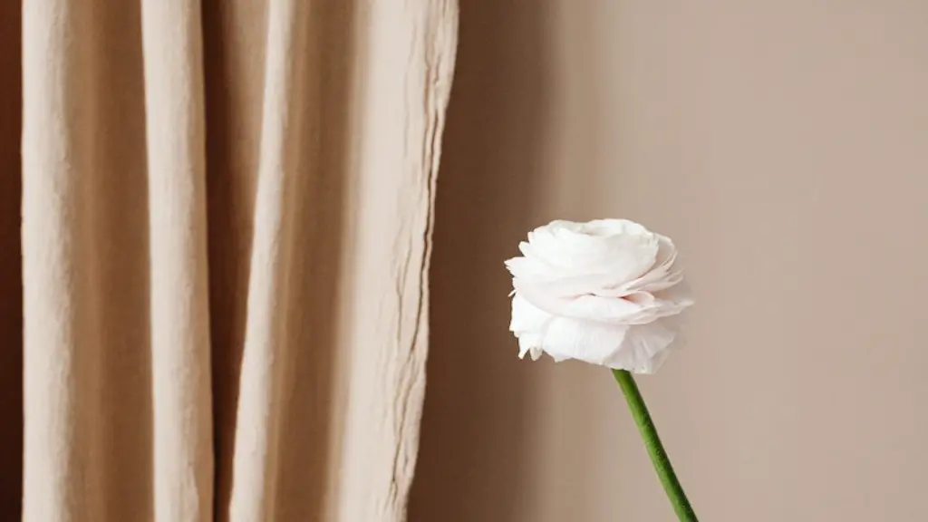 Are curtains supposed to touch the ground?