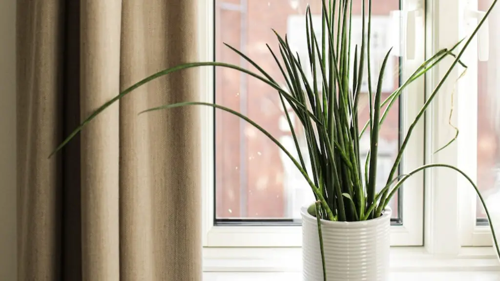 Do black out curtains keep heat out?
